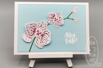 Alles_Gute_Orchideen