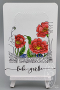 Aquarell_Mohn_Grüße