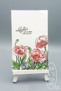 Lache_Mohn