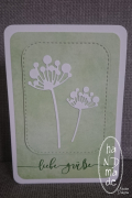 Liebe_Gruesse_gruen_Pusteblume