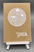 Margeriten_Fuehl_dich_gedrueckt