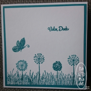 Vielen_Dank_Pusteblumen_Wiese