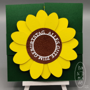 Box_Sonnenblumen_außen