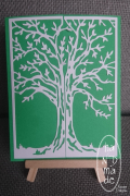 Jubilaeum_Wald_15