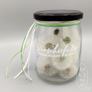 Wunscherfueller_Glas